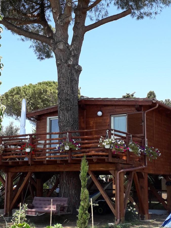 Il Vivaio Villa Tarquinia Exterior photo