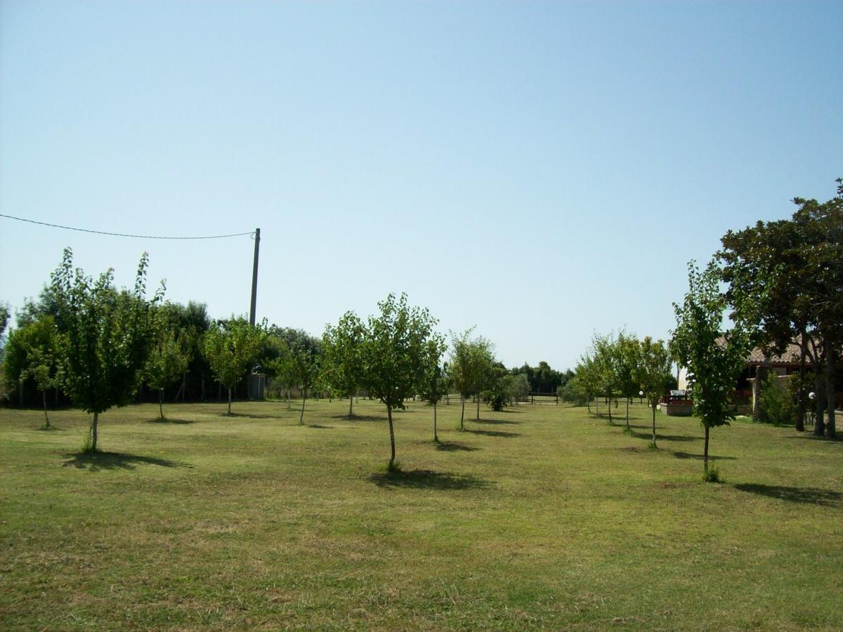 Il Vivaio Villa Tarquinia Exterior photo