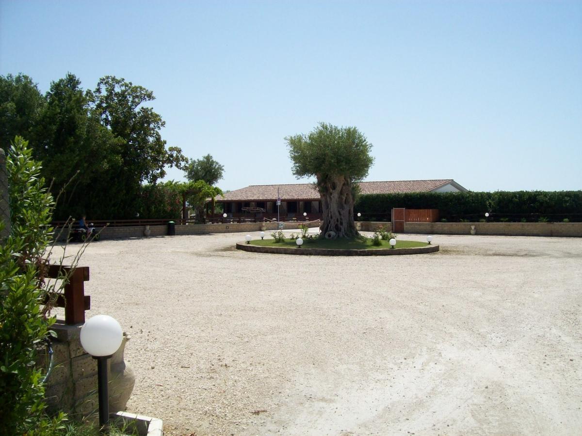 Il Vivaio Villa Tarquinia Exterior photo